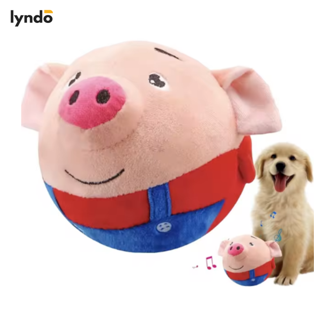 PETPLAY | INTERAKTIVT NÖJE FÖR DITT HUSDJUR