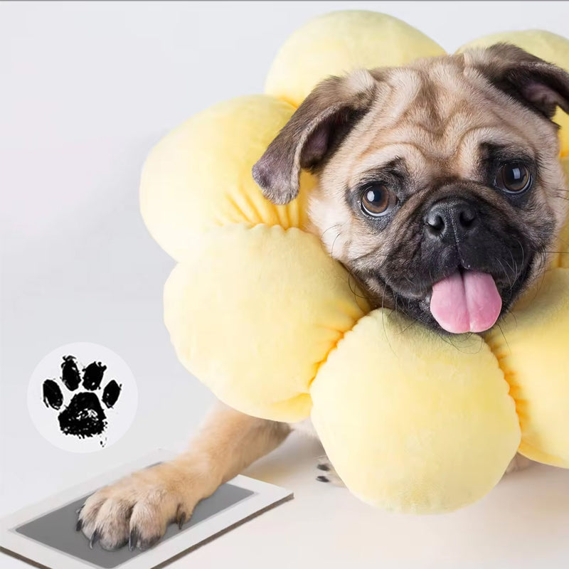 DogCatFri™ PawPrint: Husdjur Tass Ram Och Tryckning Kit