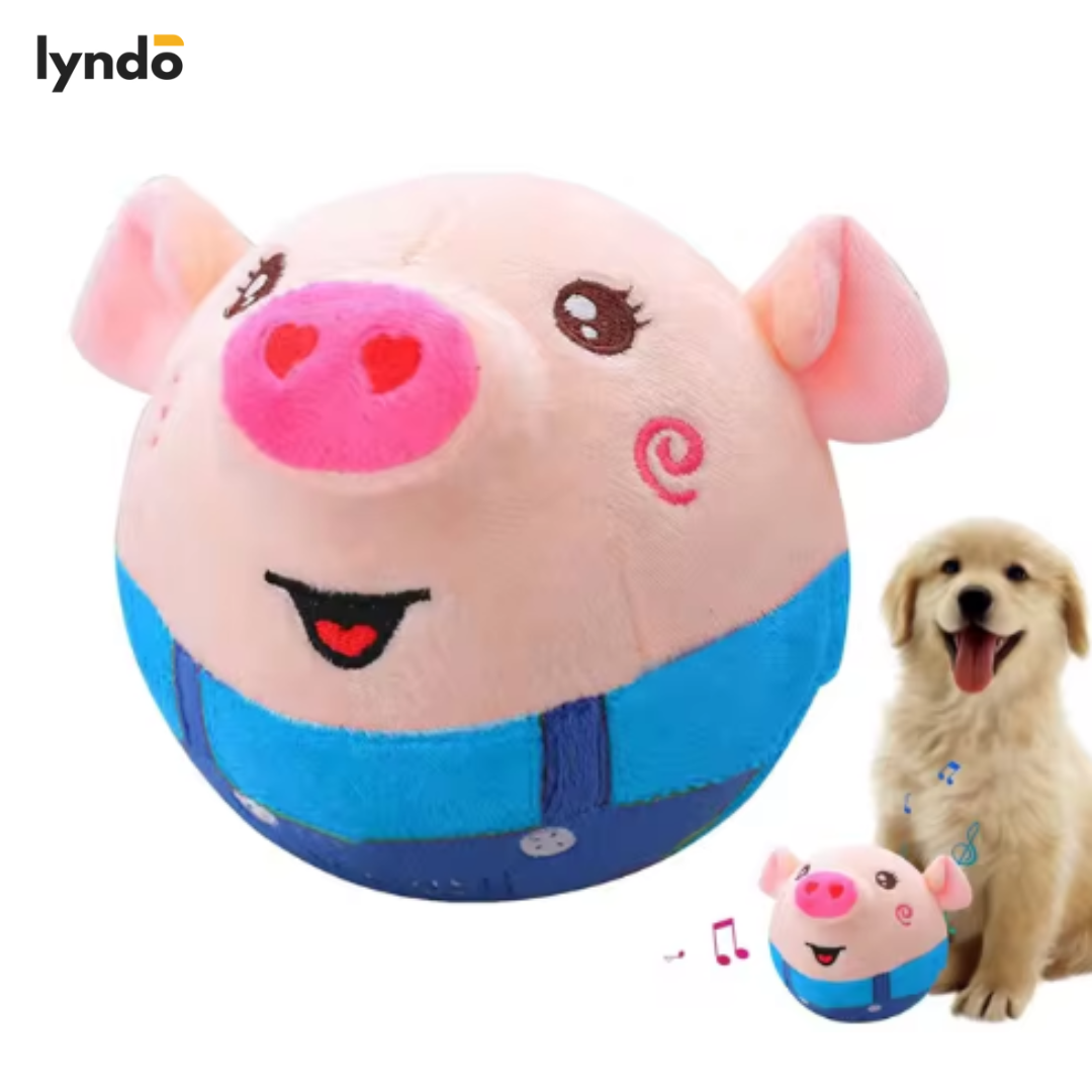 PETPLAY | INTERAKTIVT NÖJE FÖR DITT HUSDJUR