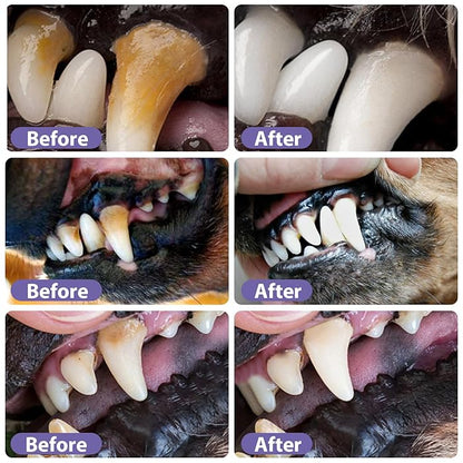 DogCatFri™  DentalPet: Husdjur Dental Reparation Och Rengöring Gel