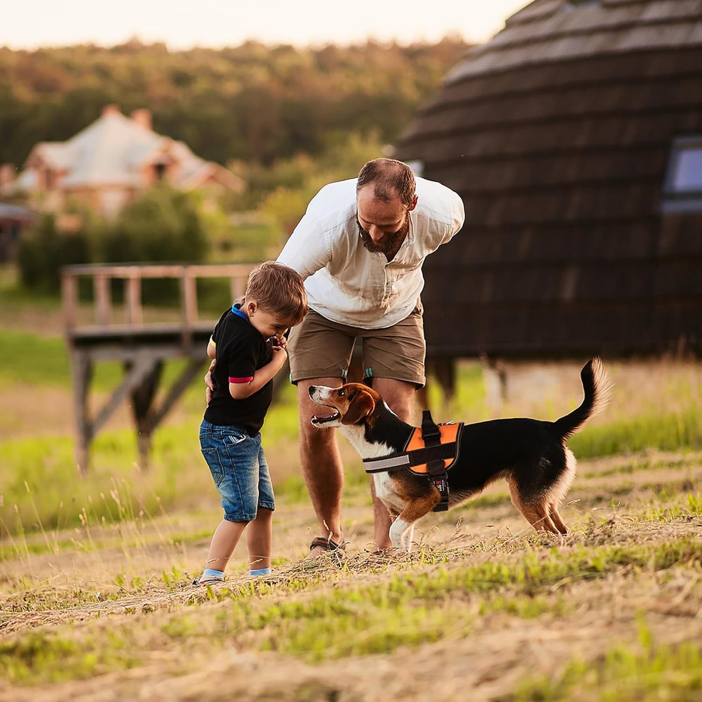 DogFri™ DogHarness: NejDra Andningsbar Hund Sele