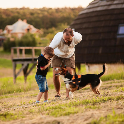 DogFri™ DogHarness: NejDra Andningsbar Hund Sele