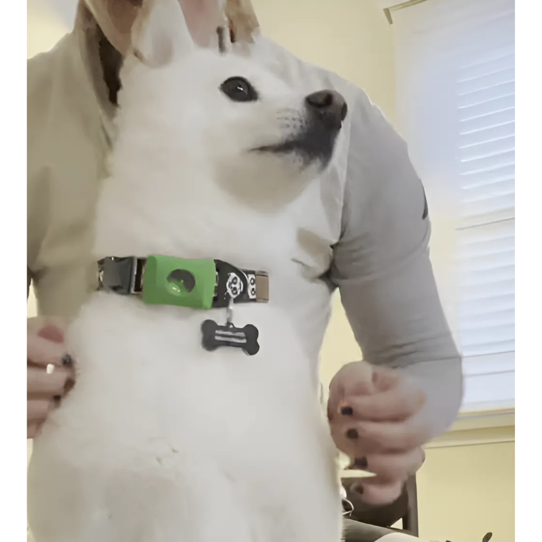 DogCatFri™ Anti-FleaPendant 1+1 GRATIS: Anti-fästing- Och Loppskyddspendel