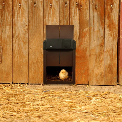 CoopDoor - Automatisk Kyckling Coop Dörr