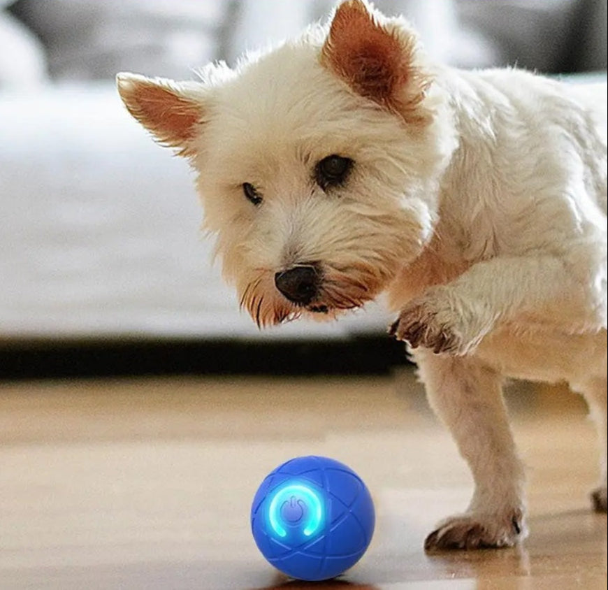 DogCatFri™ InteractiveBall: Uppladdningsbar Interaktiv Husdjur Leksak Boll