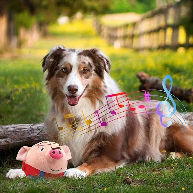 DogCatFri™ BouncingToy: Interaktiv Husdjur Studsande Plyschleksak Boll