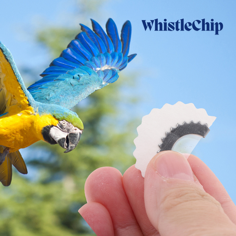 BirdWhistle 1+1 GRATIS – Mini Magi Fågel Samtal Visselpipa Chip