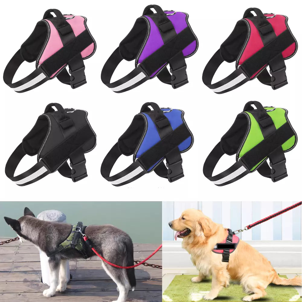 DogFri™ DogHarness: NejDra Andningsbar Hund Sele
