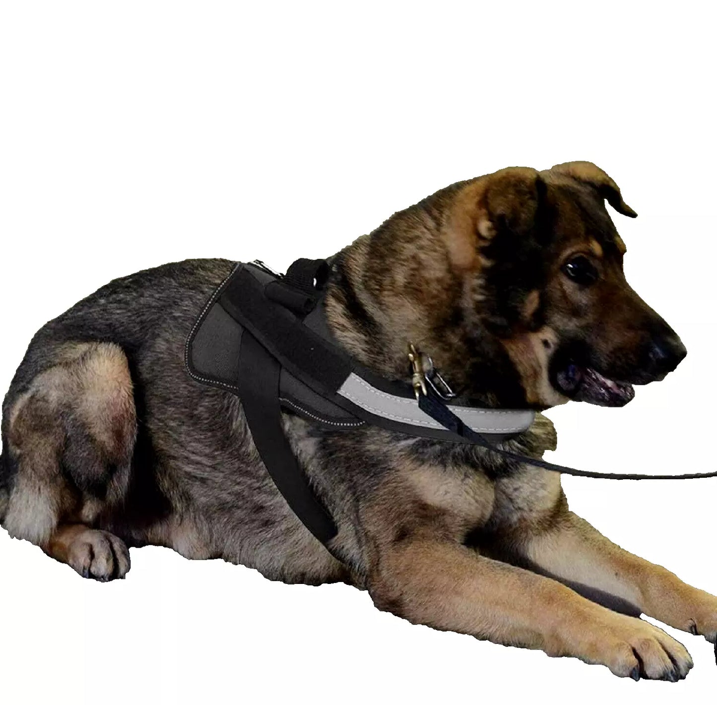 DogFri™ DogHarness: NejDra Andningsbar Hund Sele