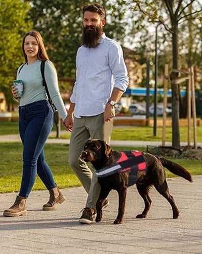 DogFri™ DogHarness: NejDra Andningsbar Hund Sele