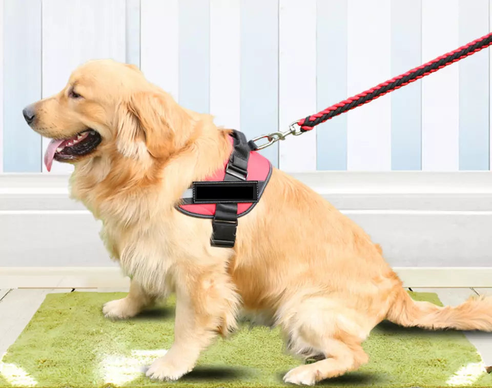 DogFri™ DogHarness: NejDra Andningsbar Hund Sele