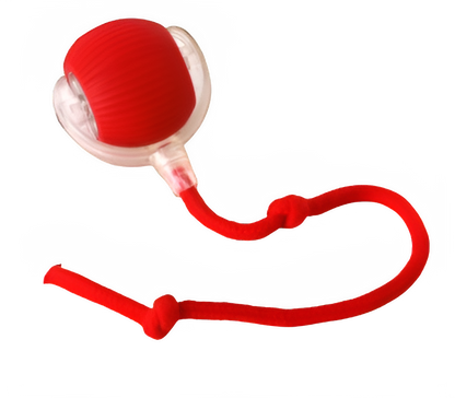 Catfri® CatBall: Automatisk Interaktiv Kul Katt Jagar Boll